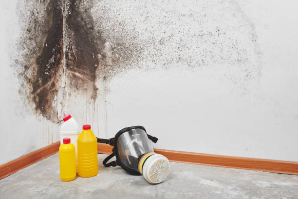 Best Mold Cleaning Services  in Myers Corner, NY