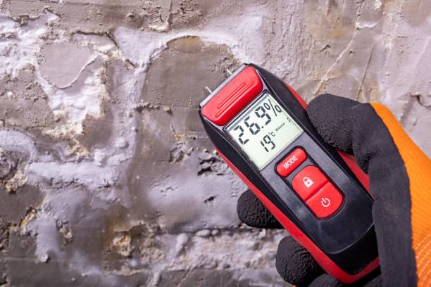 Best Mold Testing  in Myers Corner, NY